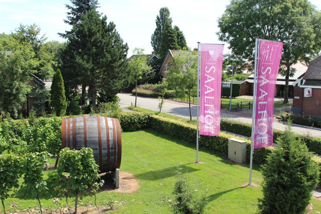 Wijngaard Saalhof Bed & Breakfast Wognum ภายนอก รูปภาพ