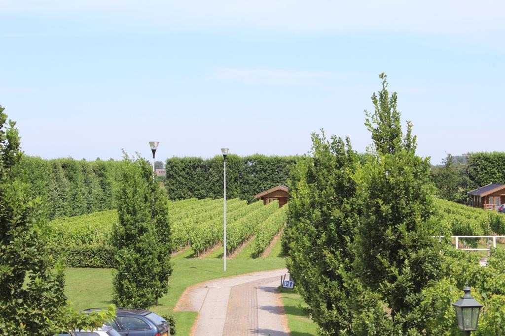 Wijngaard Saalhof Bed & Breakfast Wognum ภายนอก รูปภาพ