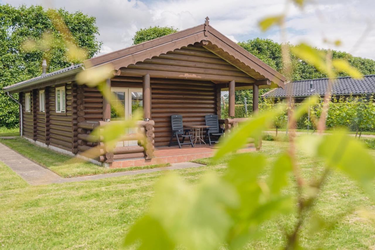 Wijngaard Saalhof Bed & Breakfast Wognum ภายนอก รูปภาพ