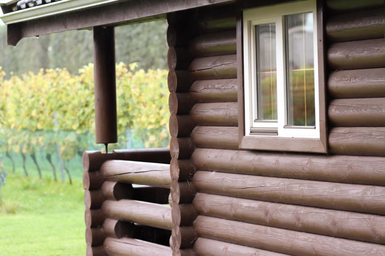 Wijngaard Saalhof Bed & Breakfast Wognum ภายนอก รูปภาพ