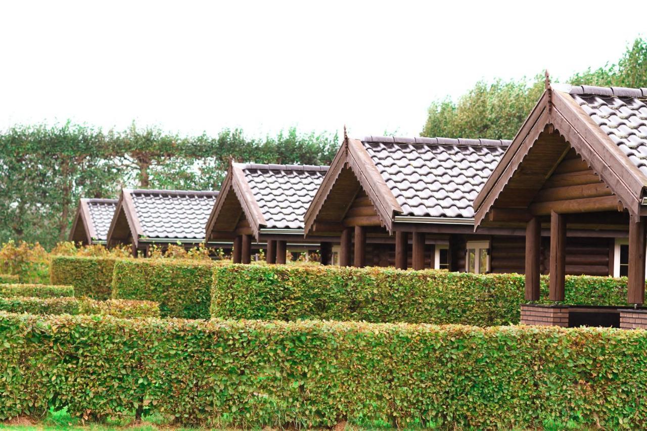 Wijngaard Saalhof Bed & Breakfast Wognum ภายนอก รูปภาพ