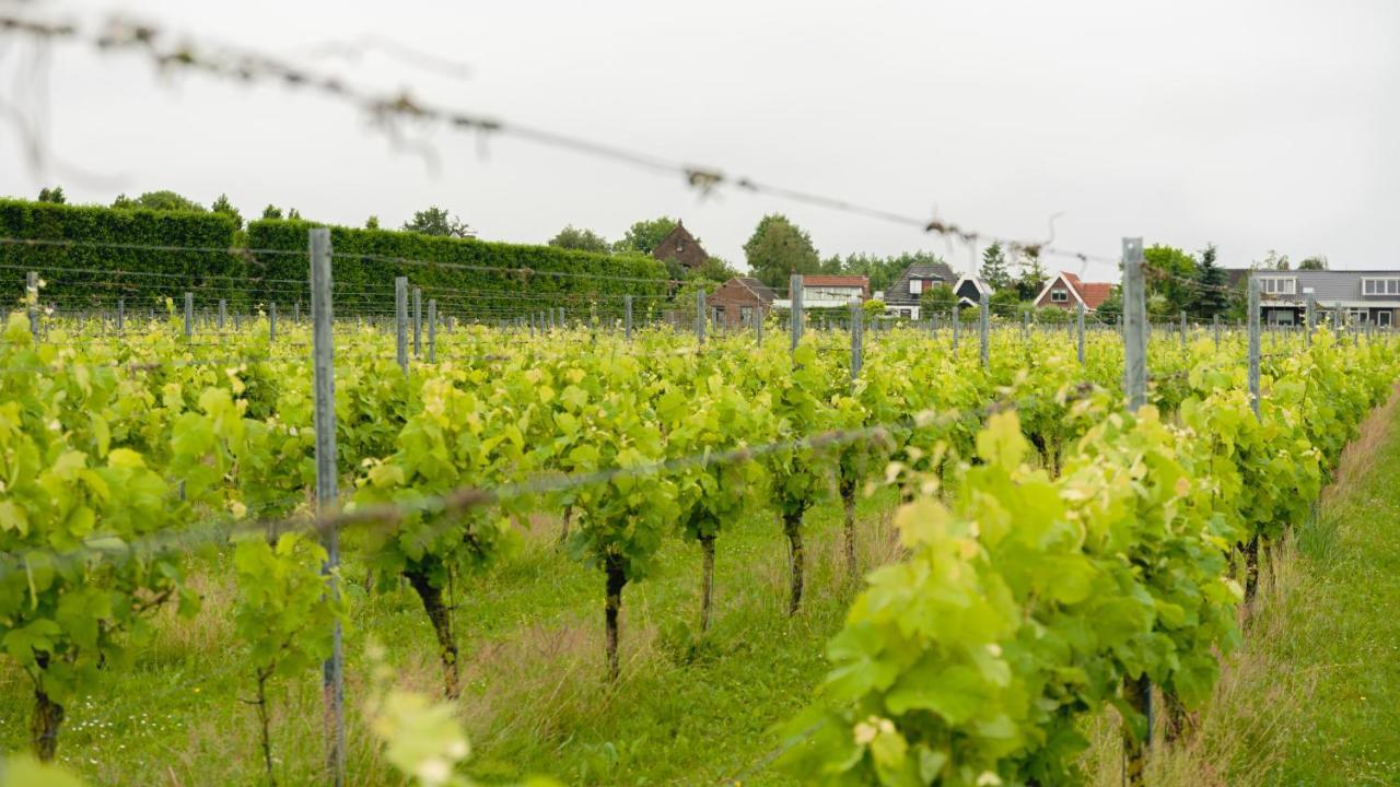 Wijngaard Saalhof Bed & Breakfast Wognum ภายนอก รูปภาพ