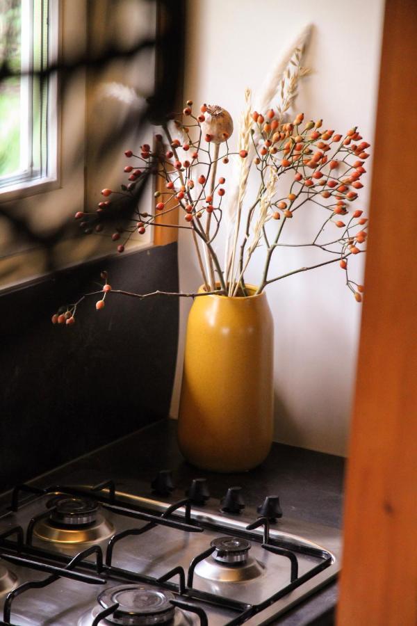 Wijngaard Saalhof Bed & Breakfast Wognum ภายนอก รูปภาพ